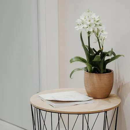 Elite * Τίρανα